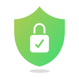 100% Secure Payments